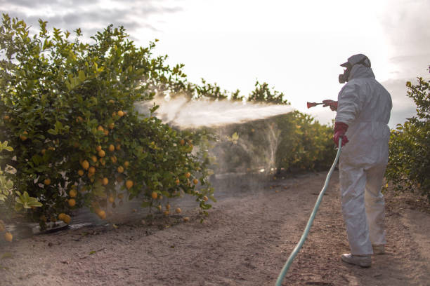 Best Pest Control Near Me  in Eaton Rapids, MI