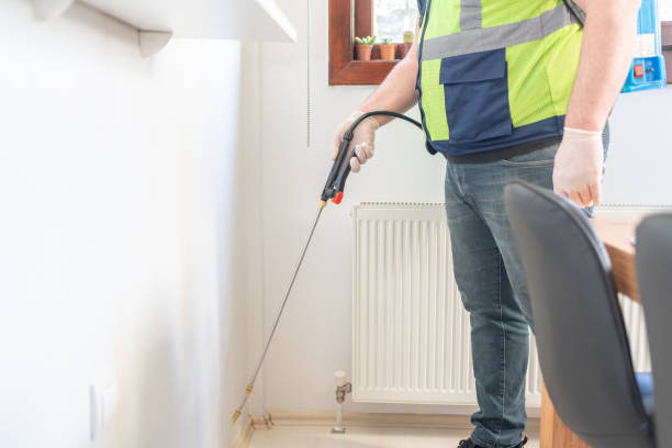 Best Termite Control Services  in Eaton Rapids, MI