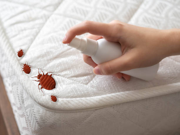Best Pest Control Near Me in Eaton Rapids, MI