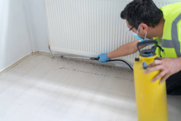 Best Affordable Pest Control Services  in Eaton Rapids, MI